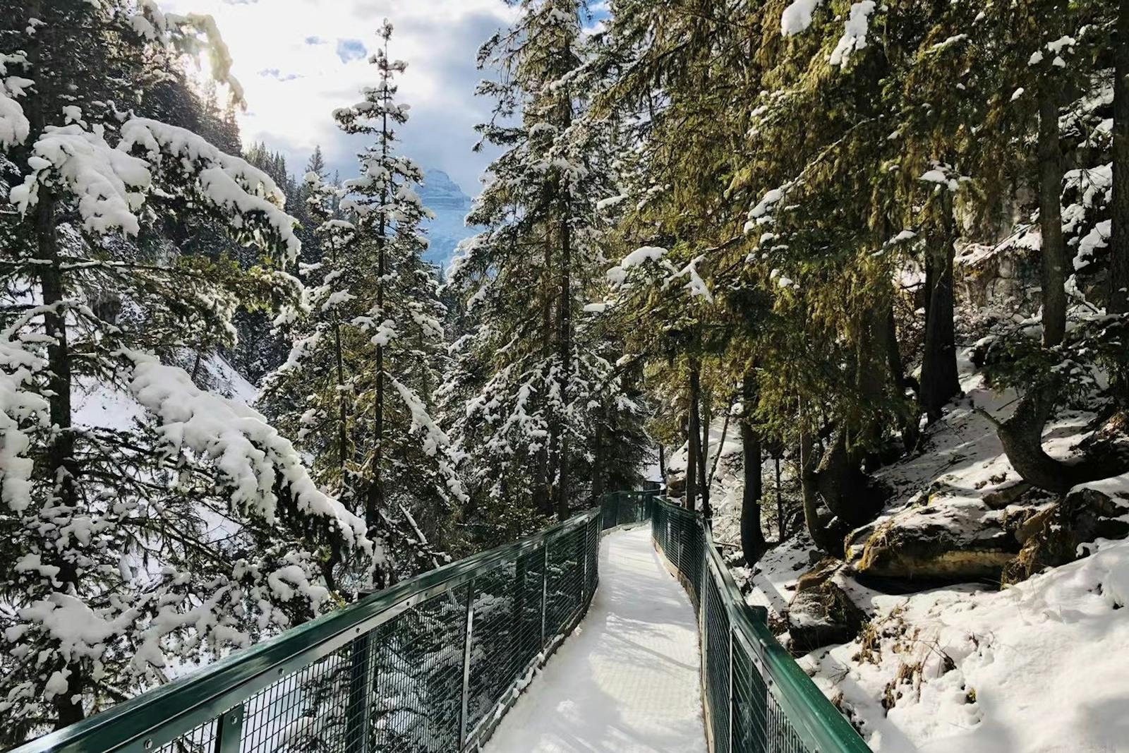 Vy från Banff Gondola över en snötäckt stig